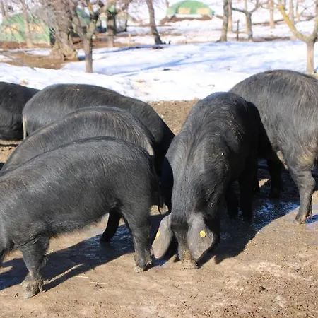 Agriturismo Il Parco Acri